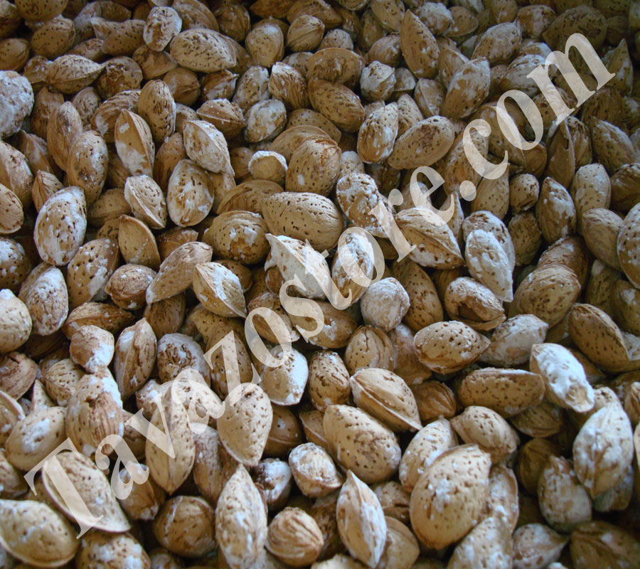 RAW ALMOND IN SHELL